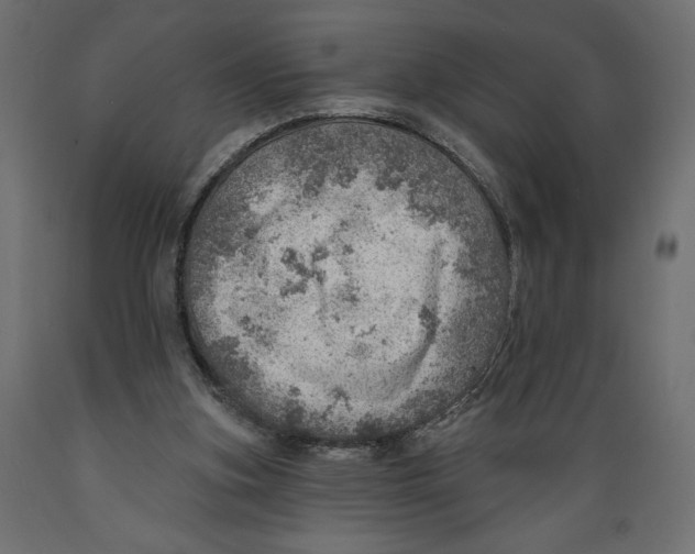 X0000088870155200707061355