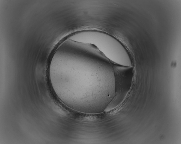 X0000088870156200707061355
