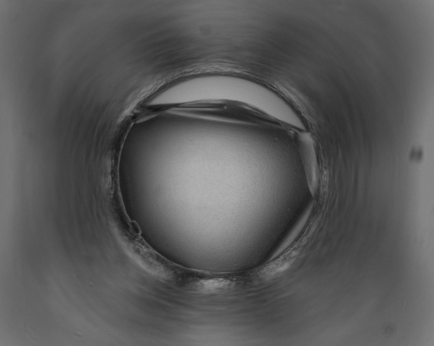 X0000088870158200707061355