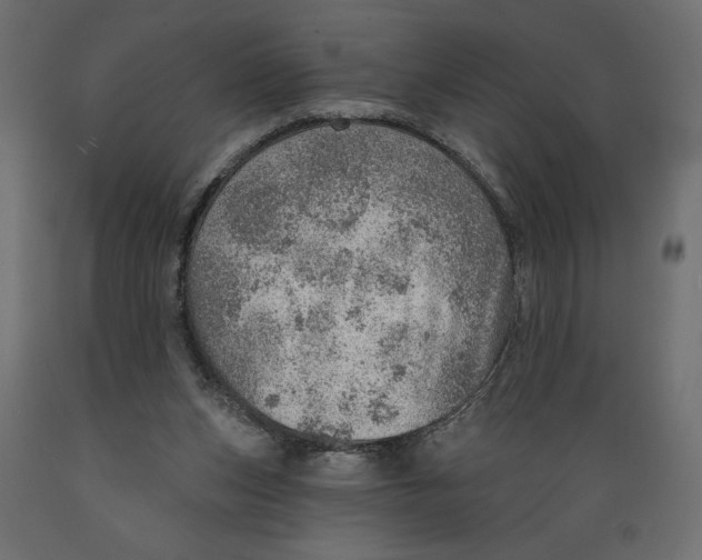 X0000088870159200707061355