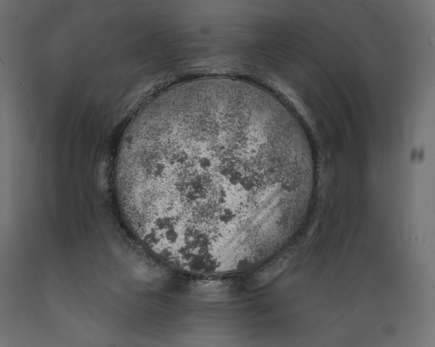 X0000088870161200707061355