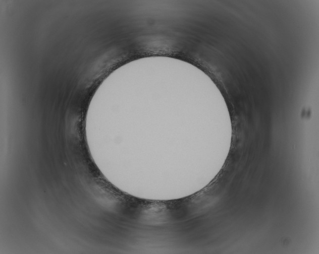 X0000088870162200707061355
