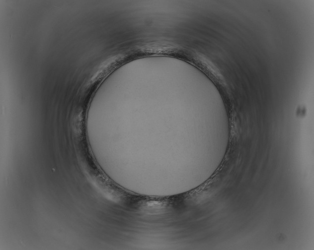 X0000088870163200707061355