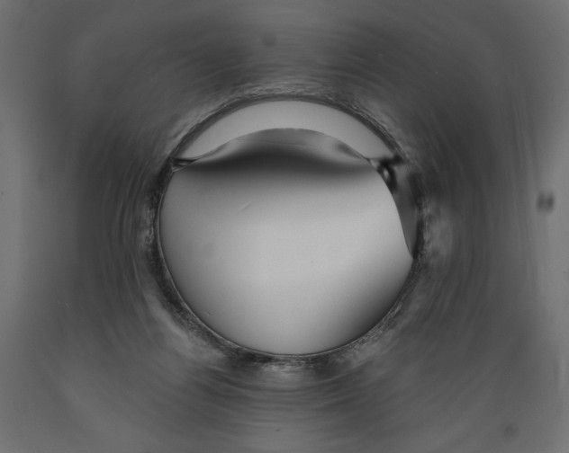 X0000088870164200707061355