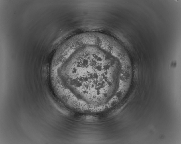 X0000088870165200707061355