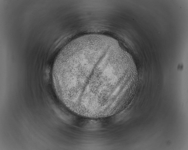 X0000088870166200707061355