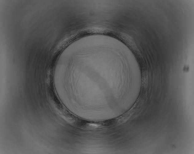 X0000088870167200707061355