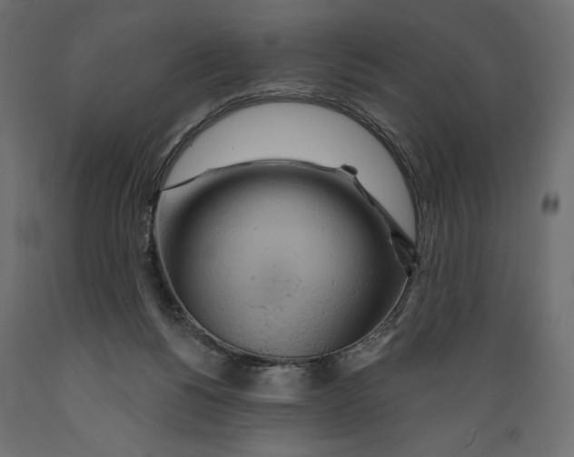 X0000088870168200707061355