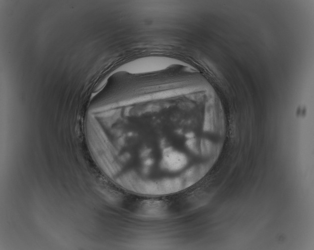 X0000088870169200707061355