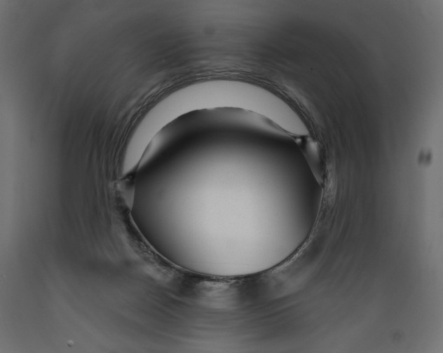 X0000088870170200707061355