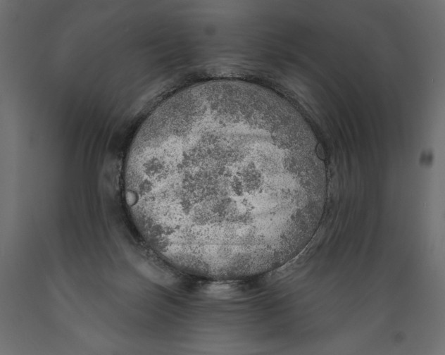 X0000088870171200707061355