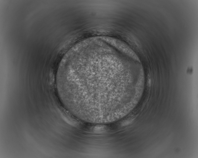 X0000088870173200707061355