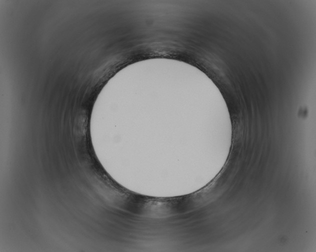 X0000088870174200707061355