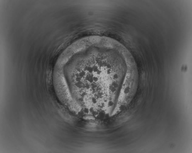 X0000088870177200707061355