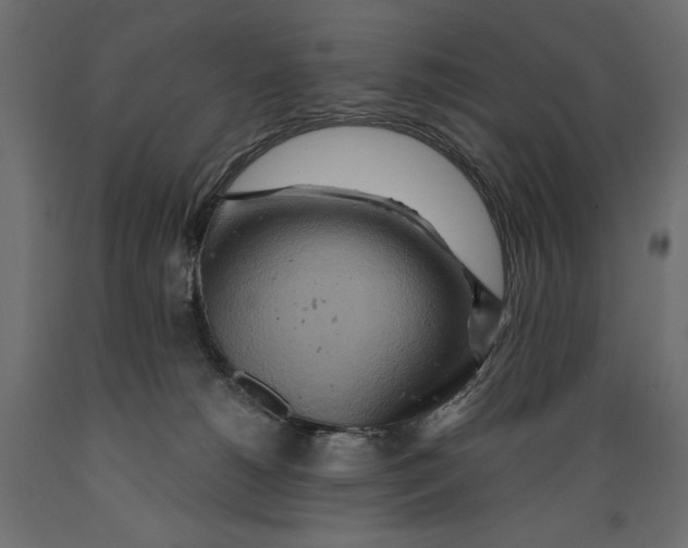 X0000088870180200707061355