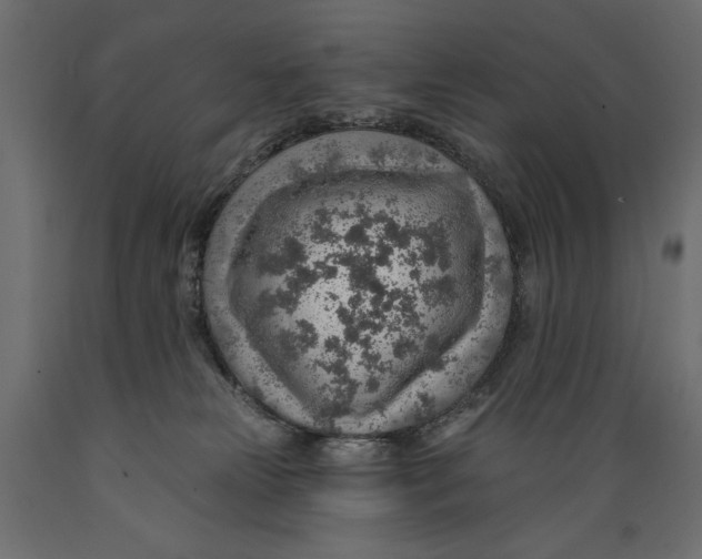X0000088870181200707061355