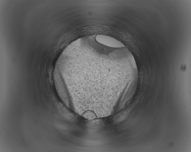 X0000088870185200707061355