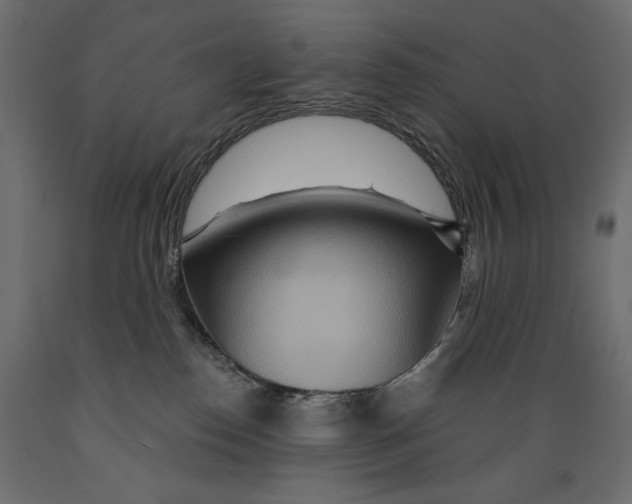 X0000088870186200707061355