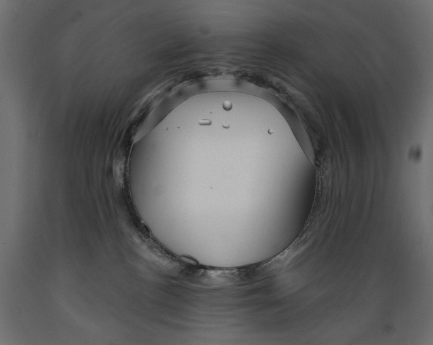 X0000088870188200707061355