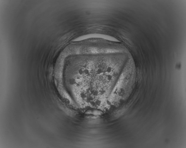 X0000088870189200707061355