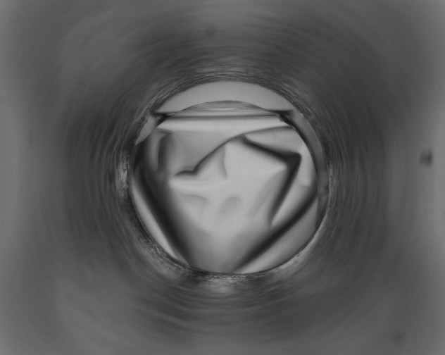 X0000088870190200707061355