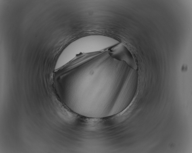 X0000088870192200707061355