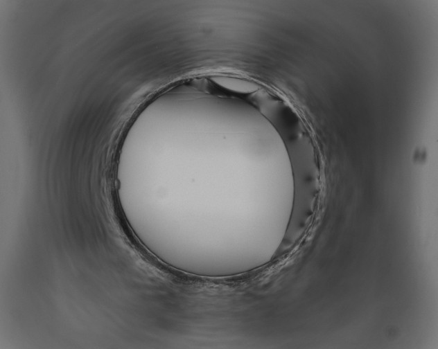 X0000088870193200707061355