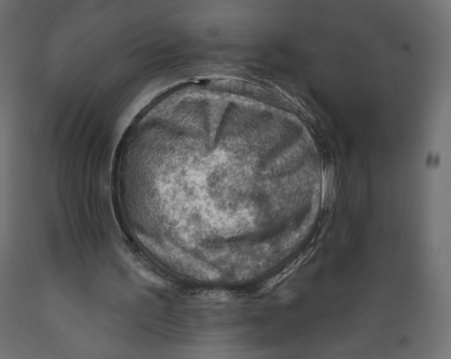 X0000088870195200707061355