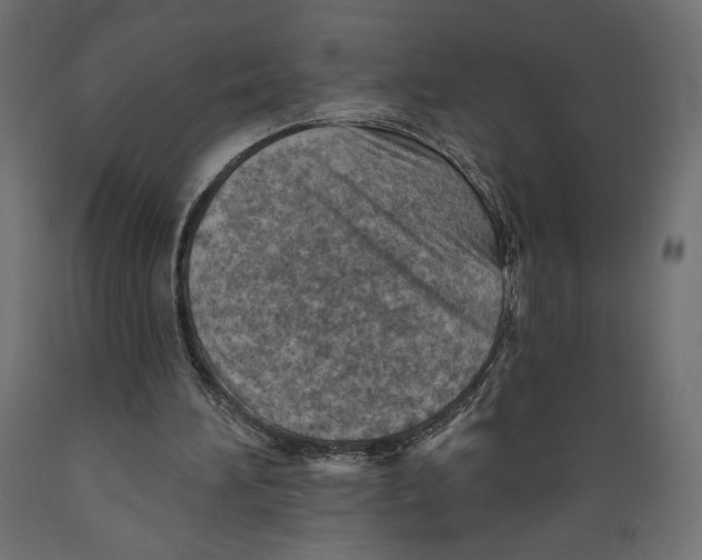 X0000088870196200707061355