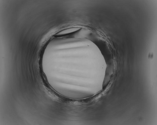 X0000088870197200707061355