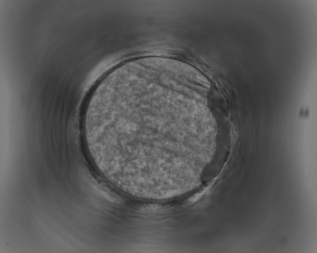 X0000088870198200707061355