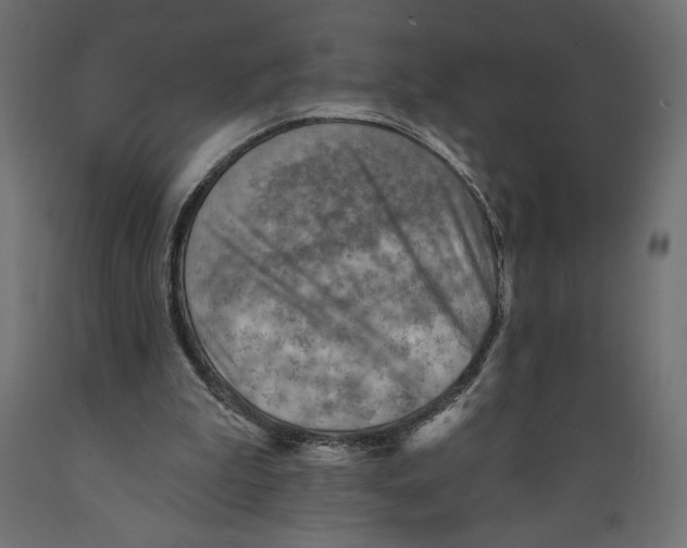 X0000088870199200707061355
