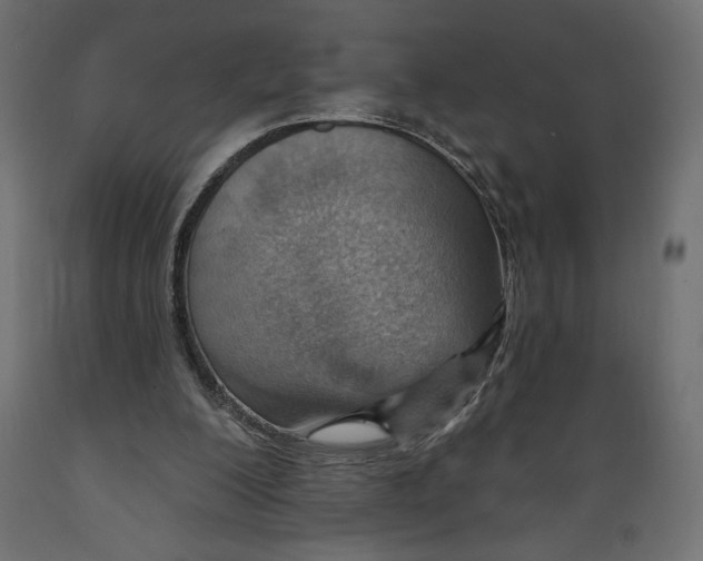 X0000088870200200707061355