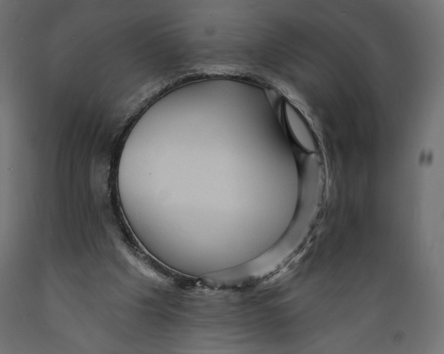 X0000088870201200707061355