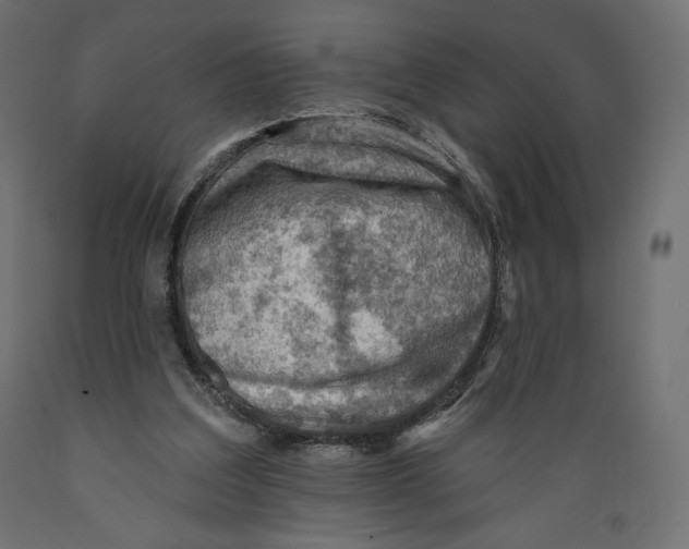X0000088870203200707061355