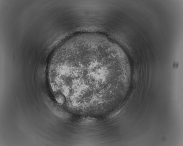 X0000088870206200707061354