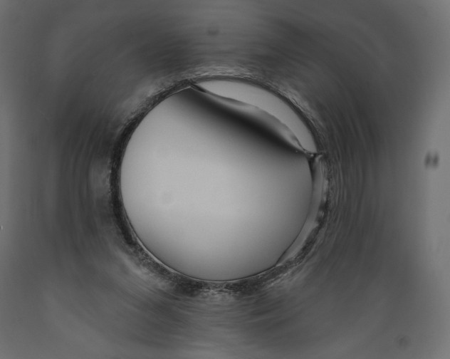X0000088870207200707061354