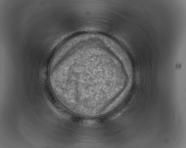X0000088870208200707061354