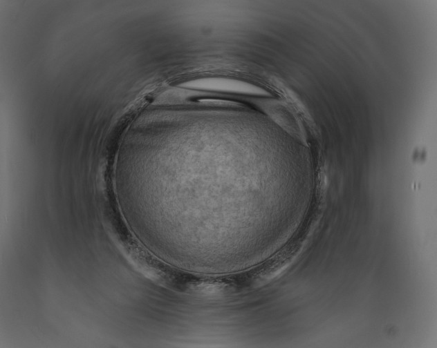 X0000088870209200707061354