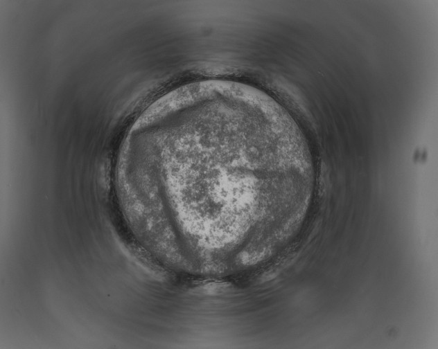 X0000088870210200707061354
