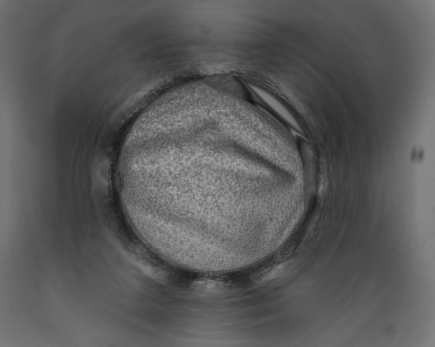 X0000088870211200707061354