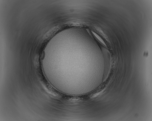 X0000088870213200707061354