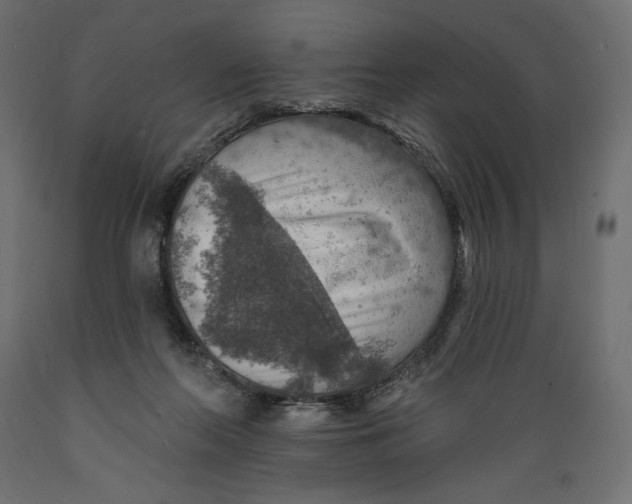 X0000088870214200707061354