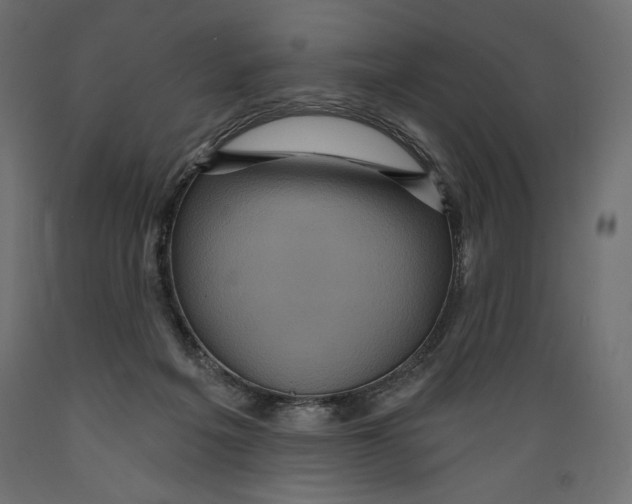 X0000088870217200707061354