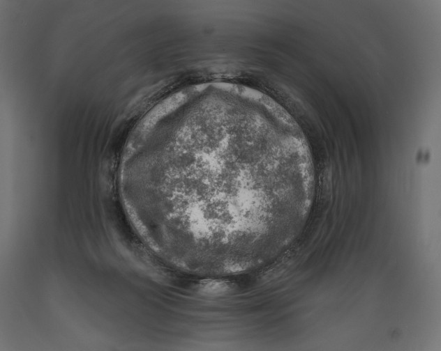 X0000088870218200707061354
