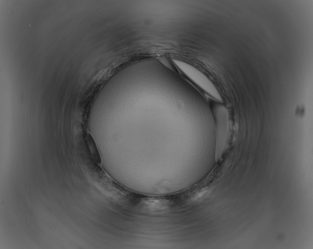 X0000088870221200707061354