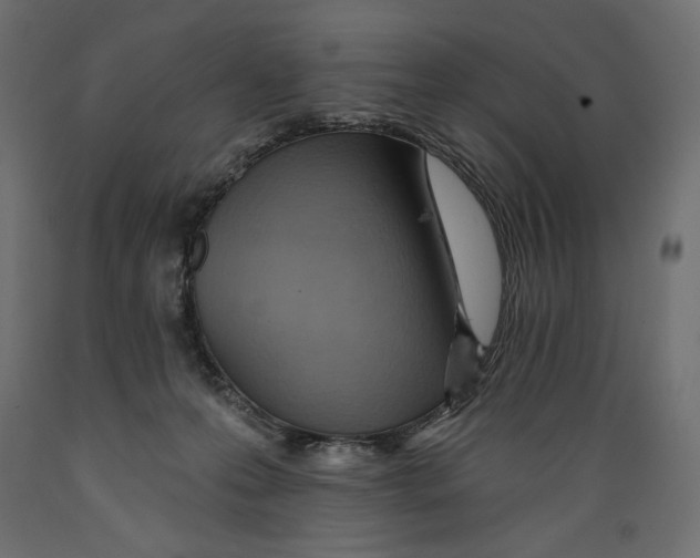 X0000088870223200707061354