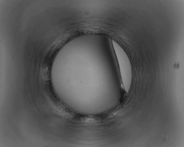 X0000088870224200707061354