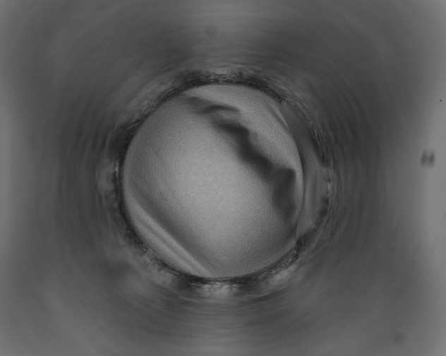 X0000088870225200707061354