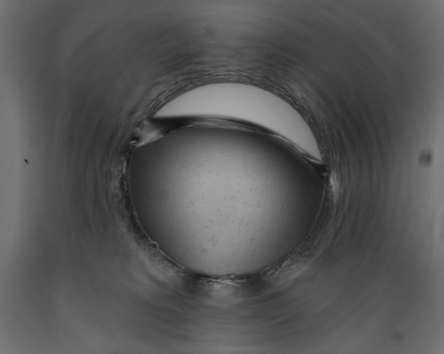 X0000088870229200707061354